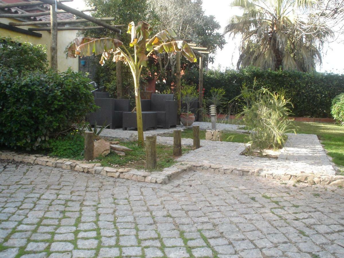 Quinta Da Sao Joao - Villa Oliveira Olhão Extérieur photo