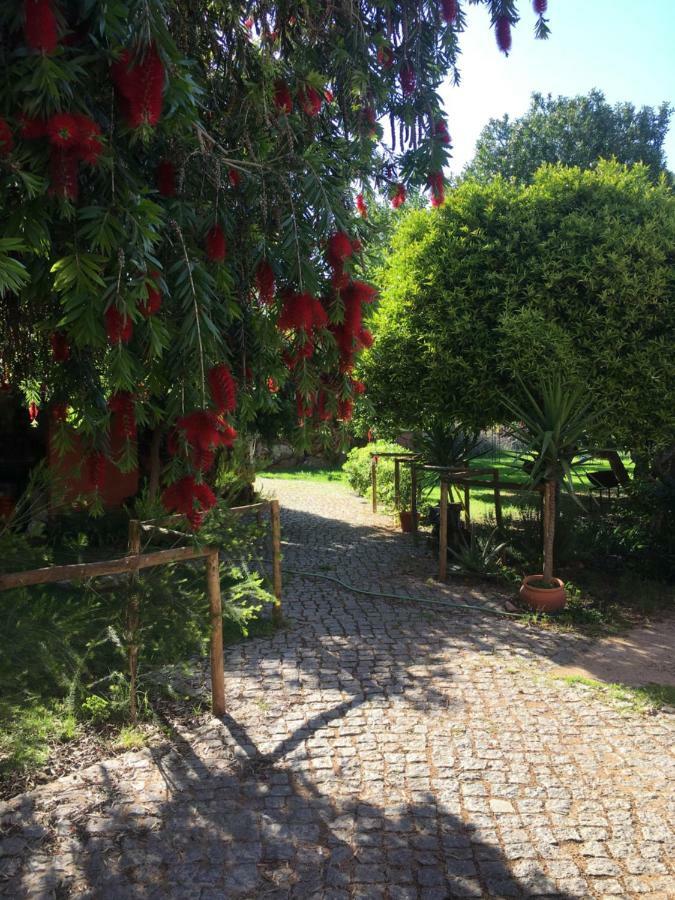 Quinta Da Sao Joao - Villa Oliveira Olhão Extérieur photo